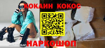 крисы Моздок