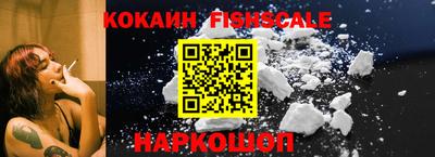 крисы Моздок