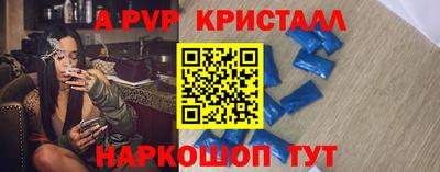 крисы Моздок