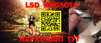 крисы Моздок