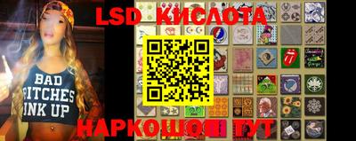 PSILOCYBIN Можга