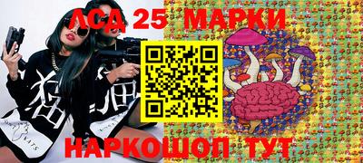 PSILOCYBIN Можга