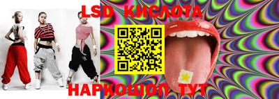 крисы Моздок