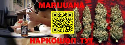 крисы Моздок