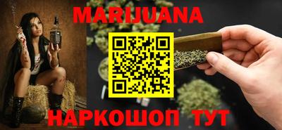 крисы Моздок