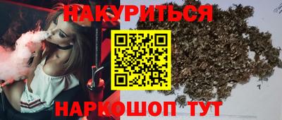 крисы Моздок