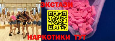 крисы Моздок