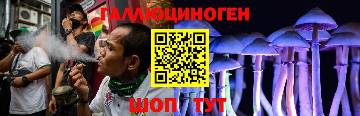 Псилоцибиновые грибы Psilocybine cubensis Ялта